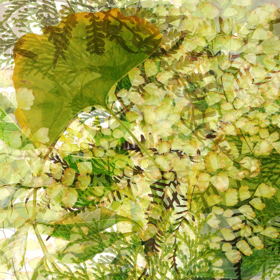 Fern Garden Greeting Card Detail | Paper and Flower Art