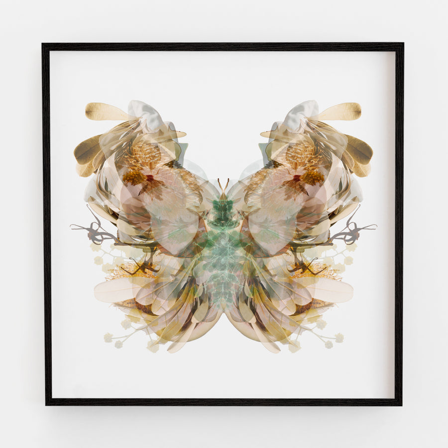 Chocolate Brown Moth | Paper and Flower | Floral Art